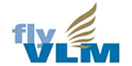 VLM航空logo